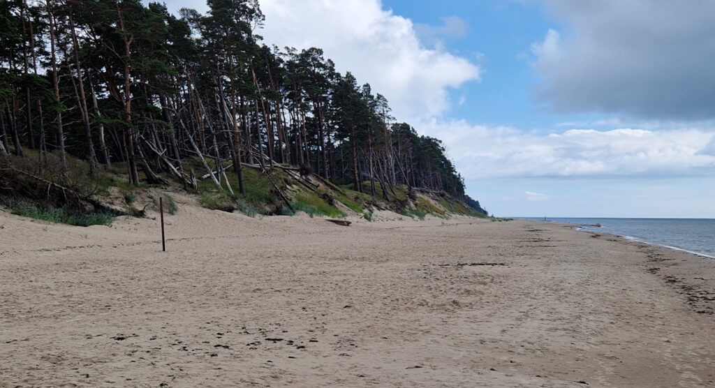 Ibland får man stranden helt för sig själv